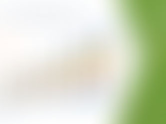 Europe Mycotoxin Testing Market size 2020, Drivers, Challenges, And Impact On Growth and Demand