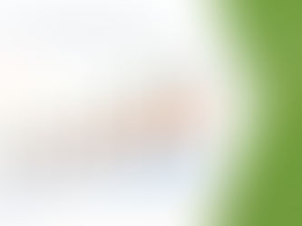 North America Health and Wellness Food Market Industry Share, Size, Growth, Demands, Revenue
