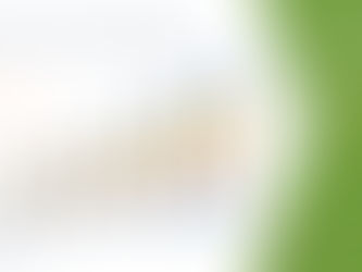 Middle East and Africa Plant-Based Beverages Market, Products, Share, Growth, Insights