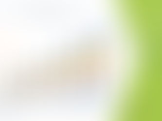 Paediatric Gliomas Drugs Market System Market Analysis and Size