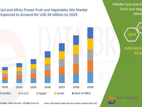 Middle East and Africa Frozen Fruit and Vegetables Mix Market By Source (Bio-Based, Petrochemical