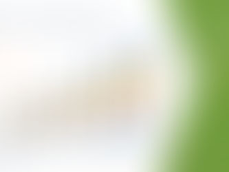 Europe Health and Wellness Food Market Industry Share, Size, Growth, Demands, Revenue, Top Leaders