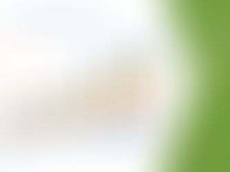 Europe Edible Oil Market Industry Size-Share, Global Trends, Key Players Strategies