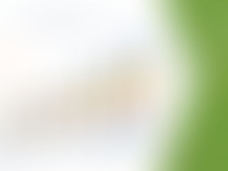Baby Food Market Insights 2022: Trends, Size, CAGR, Growth Analysis by 2029