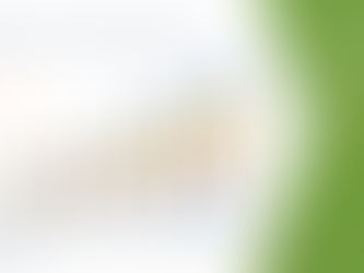 Middle East and Africa Chromatography Food Testing Market (By Product Type: Reusable and Disposable