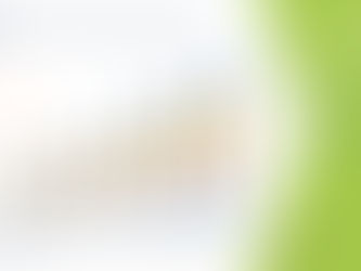 Non-mydriatic Handheld Fundus Camera Market by Industry Perspective, Comprehensive Analysis