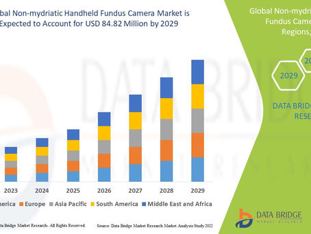 Non-mydriatic Handheld Fundus Camera Market by Industry Perspective, Comprehensive Analysis