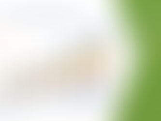 Asia-Pacific Chromatography Food Testing Market Industry Size-Share, Global Trends, Key Players