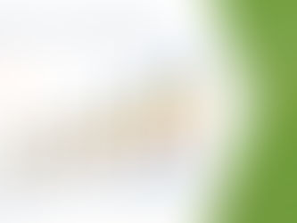 Europe Frozen Fruit and Vegetables Mix Market By Source (Bio-Based, Petrochemical-Based)
