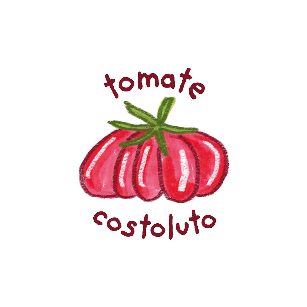 Tomate Costoluto