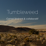 Napo et Kant Tumbleweed - carnet itinérant et collaboratif