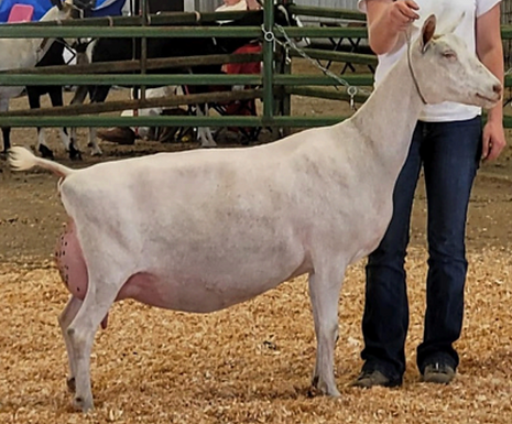 Screenshot 2025-11-20 205915.png