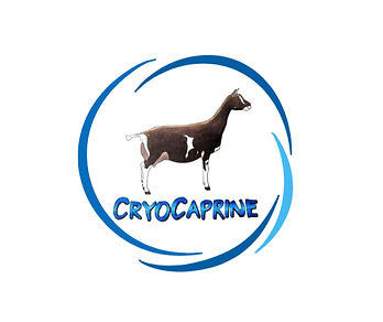 Untitled design (1)_edited.jpg