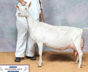 Screenshot 2025-11-20 210011.png