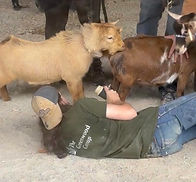 RJ Buck Collecting.jpg