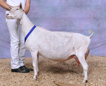 des ruhigestelle elenya.jpg