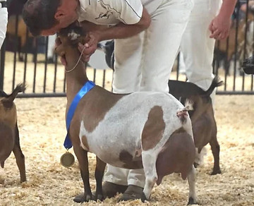 Agapes prize french quarter_edited.jpg