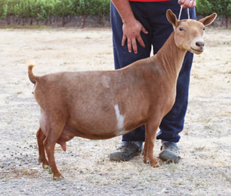 hocus pocus-2021.jpg