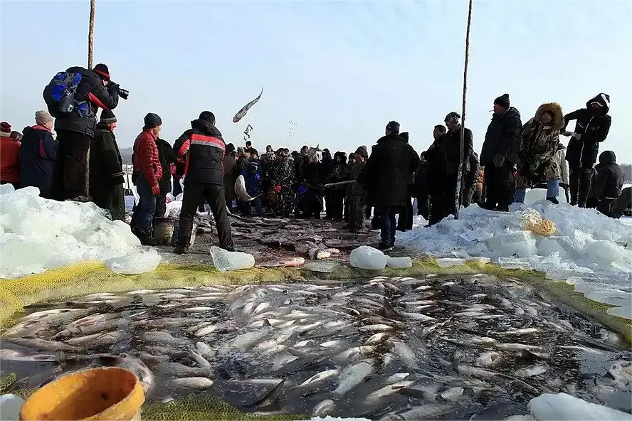 Crowd gathers on icy terrain for winter fishing. People in warm clothing, fish visible on ice. Sky is clear, mood is lively.