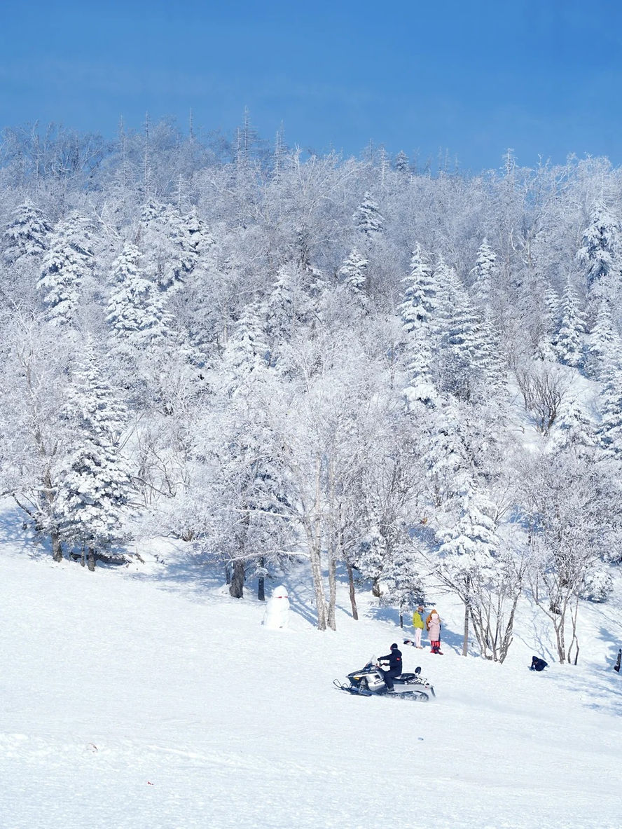 Snowy forest scene with people making a snowman and riding a snowmobile. Blue sky, snow-covered trees. Winter fun and serene landscape.