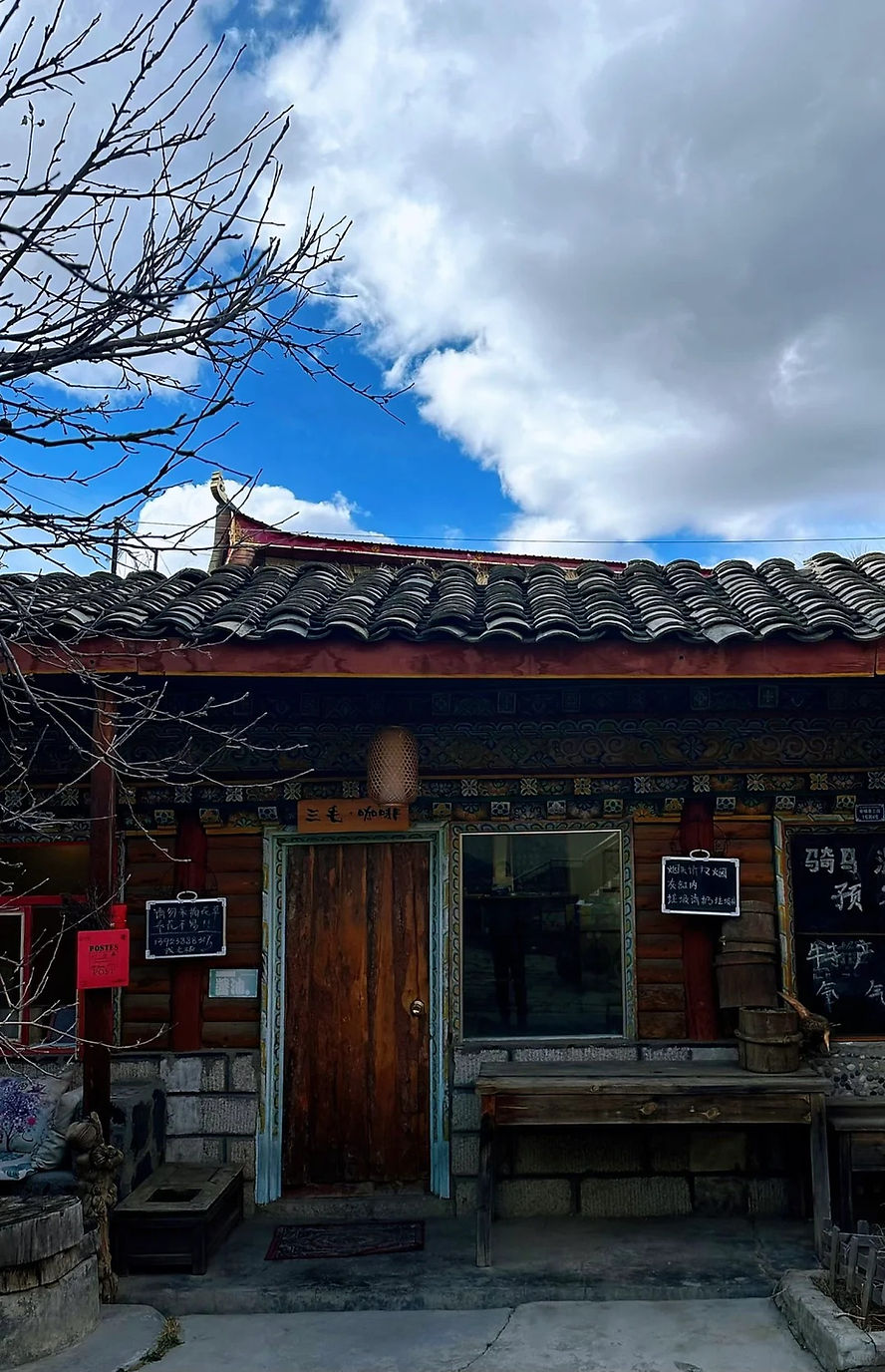 Rustic café with wooden door, traditional roof, and Chinese signs. Overcast sky, leafless branches, and a calm atmosphere.