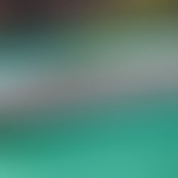 Large white cruise ship sails on turquoise river, flanked by rocky cliffs and lush greenery. Blue accents on ship's deck. Calm mood.