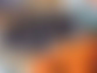 Baskets of frosty black and orange fruit on display at an outdoor market. Snow dusts the fruit, set against baskets and market signage.