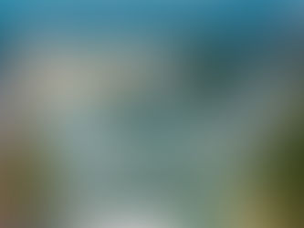 Aerial view of a park with a circular structure on a lake, surrounded by green trees and pathways. Clear sky and calm water.