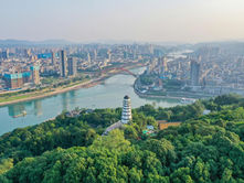 Cityscape with a river and bridges, surrounded by tall buildings. In the foreground, a lush green forest with a white pagoda. Sky is hazy.