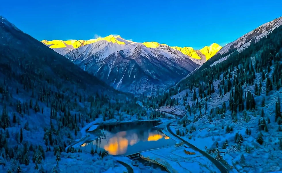 Snow-covered mountains with golden peaks, reflecting in a serene lake. Pine trees cover the landscape under a clear blue sky, creating a tranquil scene.
