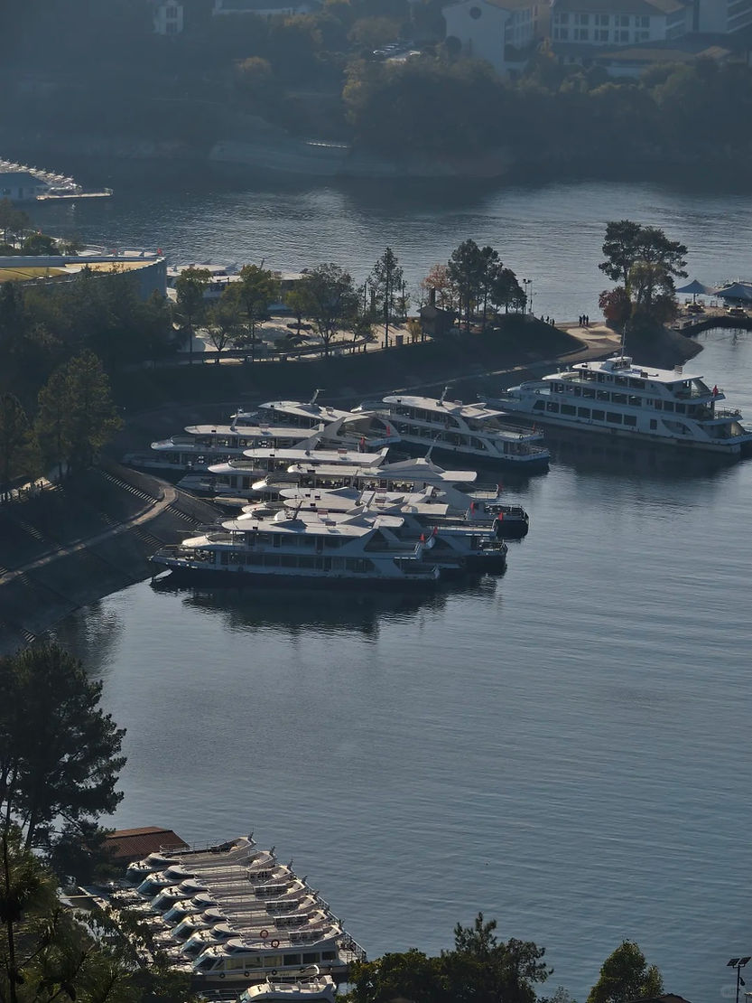 Boats docked at a marina on a calm river, surrounded by trees and buildings. The setting is serene with soft daylight and reflections on water.