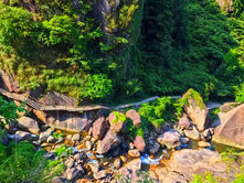 Lush green forest with a wooden walkway on a rocky cliff, overlooking a stream with large boulders. Sunlight highlights vibrant foliage.