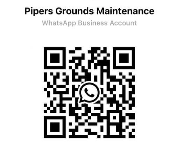 Whatsapp Link