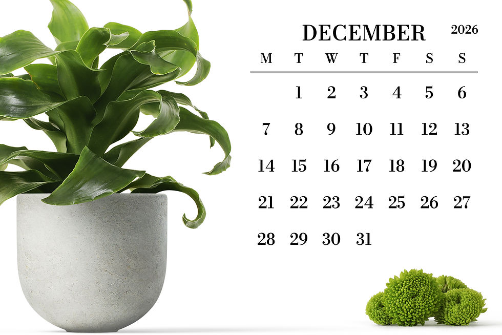 Thumbnail: 2026 Square Large Number 12x12 Calendar Template, Monday to Sunday, Printable, Blank Calendar, PDF