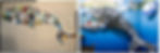 Before and after. Left: The blue whale assembled from small fragments of beach plastic. Right: The finished whale installed on the Marine Station wall.