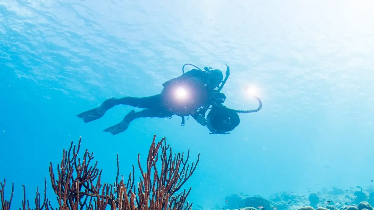 PADI® Digital Underwater Photographer course