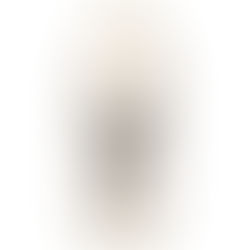 Nosso amigo resveratrol