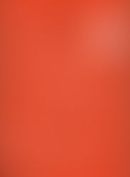 4 horas para se tornar um expert em vinhos!