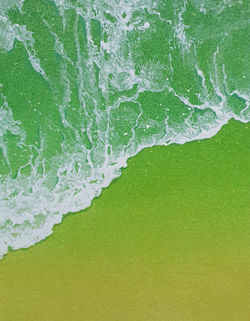 004, 최종용, Nature, 53 x 41 cm, oil on canvas, 2023, 250만원