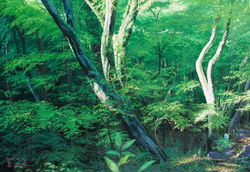 008, 류재현, breath of wind202307, 50.0 x 72.7 cm, oil on canvas, 2023, 500만원