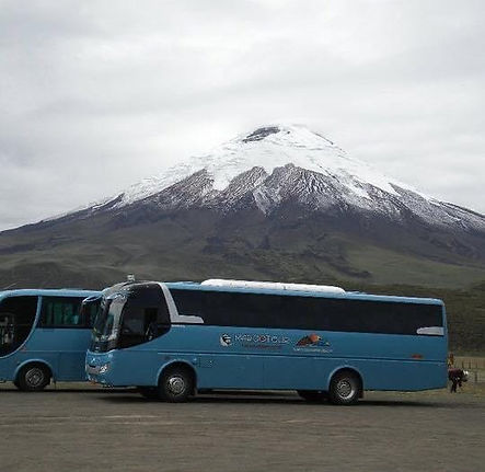 bus-24-passenger.jpeg