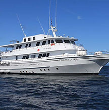 galaxy-diver-exterior-1 (1).jpg