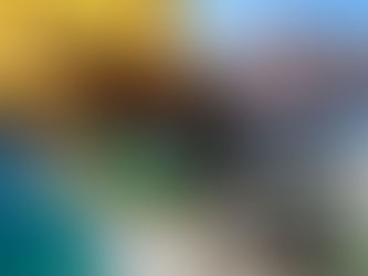 Why Travel to Ecuador