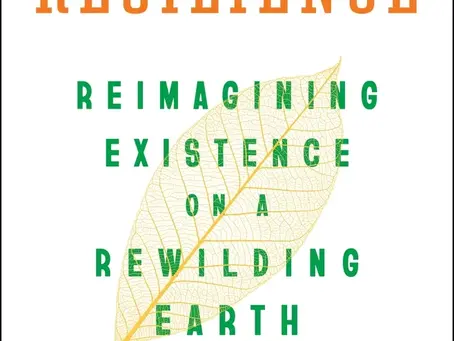 Book Review: The Age of Resilience by Jeremy Rifkin