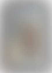 What an Owl Knows: A Journey into the Enigmatic World of Owls