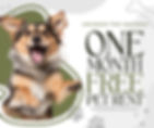 Hunters Ridge - Dog Friendly Special - With Offer.jpg