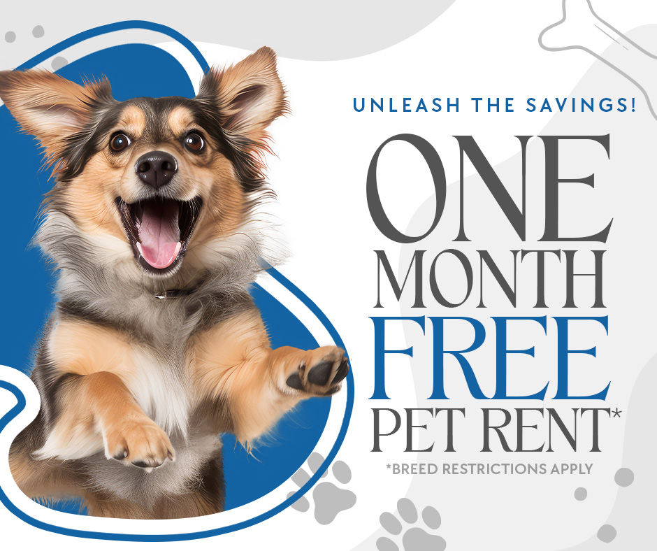 Shearwater - Dog Friendly Special - With Offer.jpg