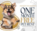 Dog Friendly Special - With Offer.jpg