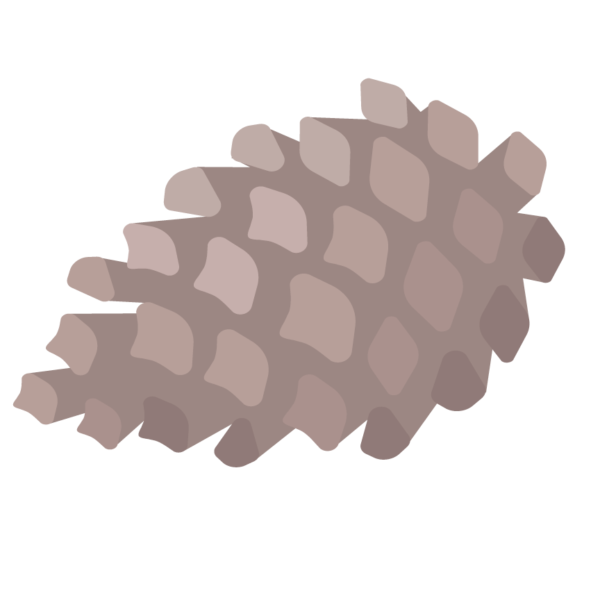 Pinecone.gif