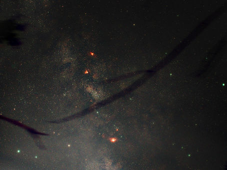 Recent Observations: The Southern Milky Way towards the Galactic Centre